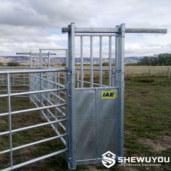 sliding gate installed in portable cattle handling race