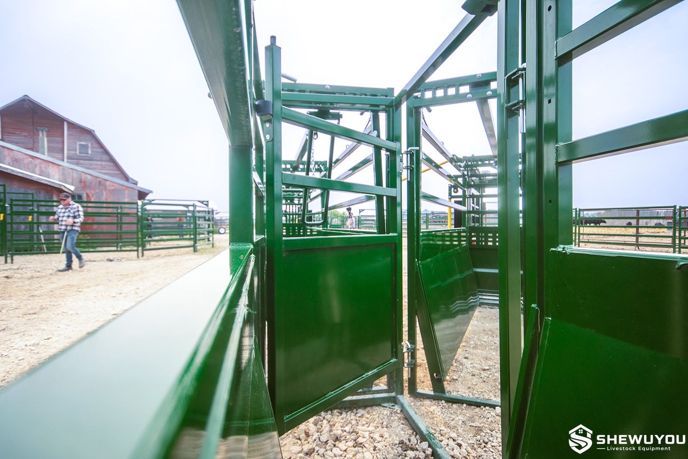 cattle diversion gate inside livestock sorting alley