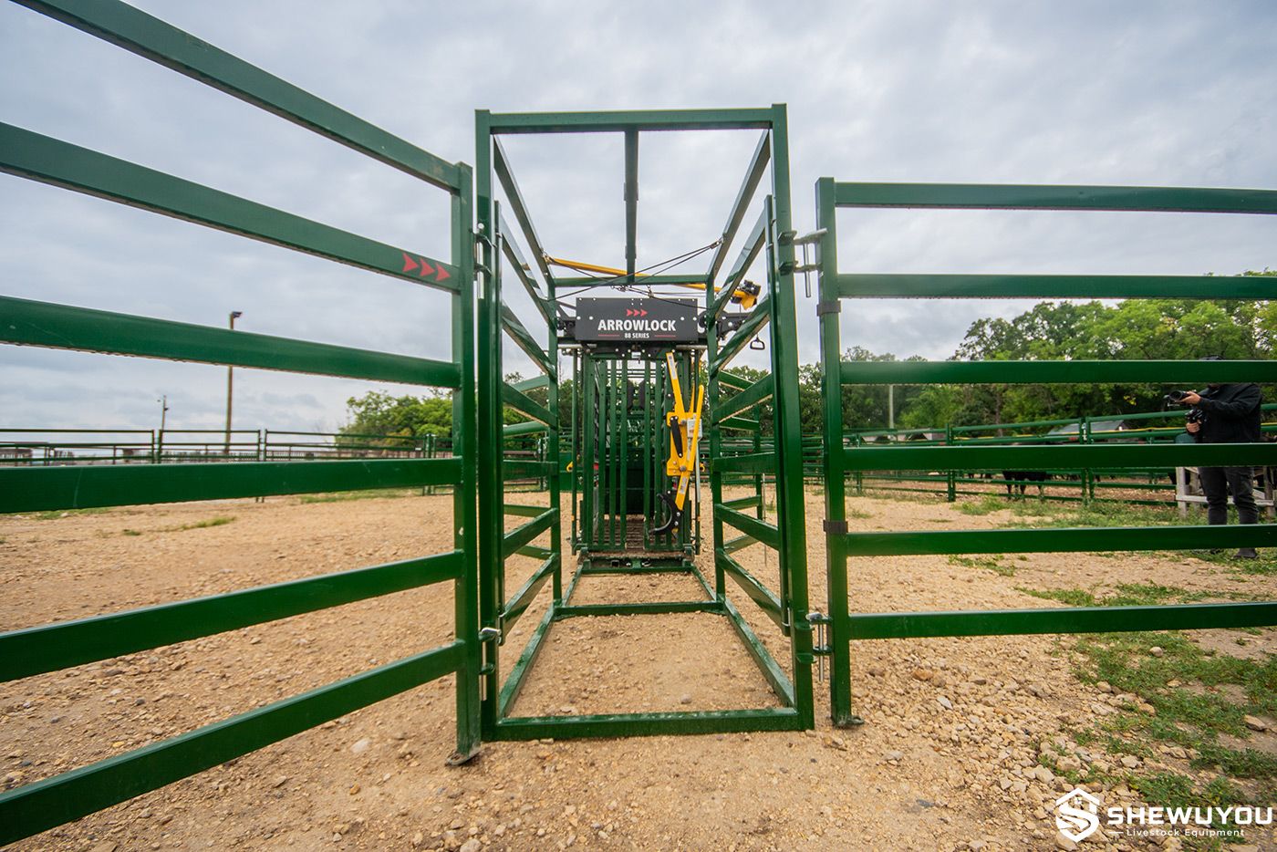 post-chute cattle draft module attached to cattle chute