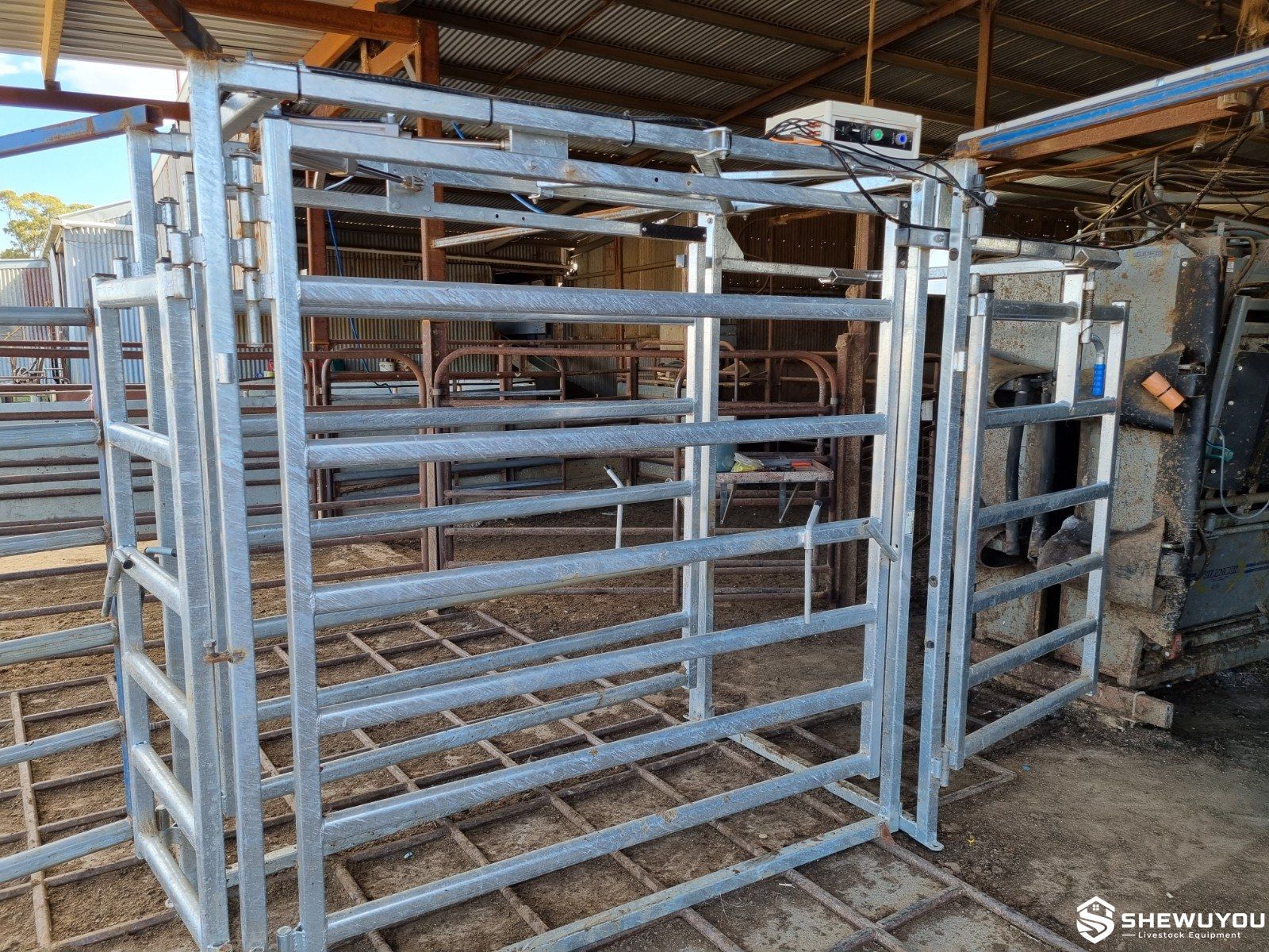 3-way powered cattle drafting gate installed at cattle crush