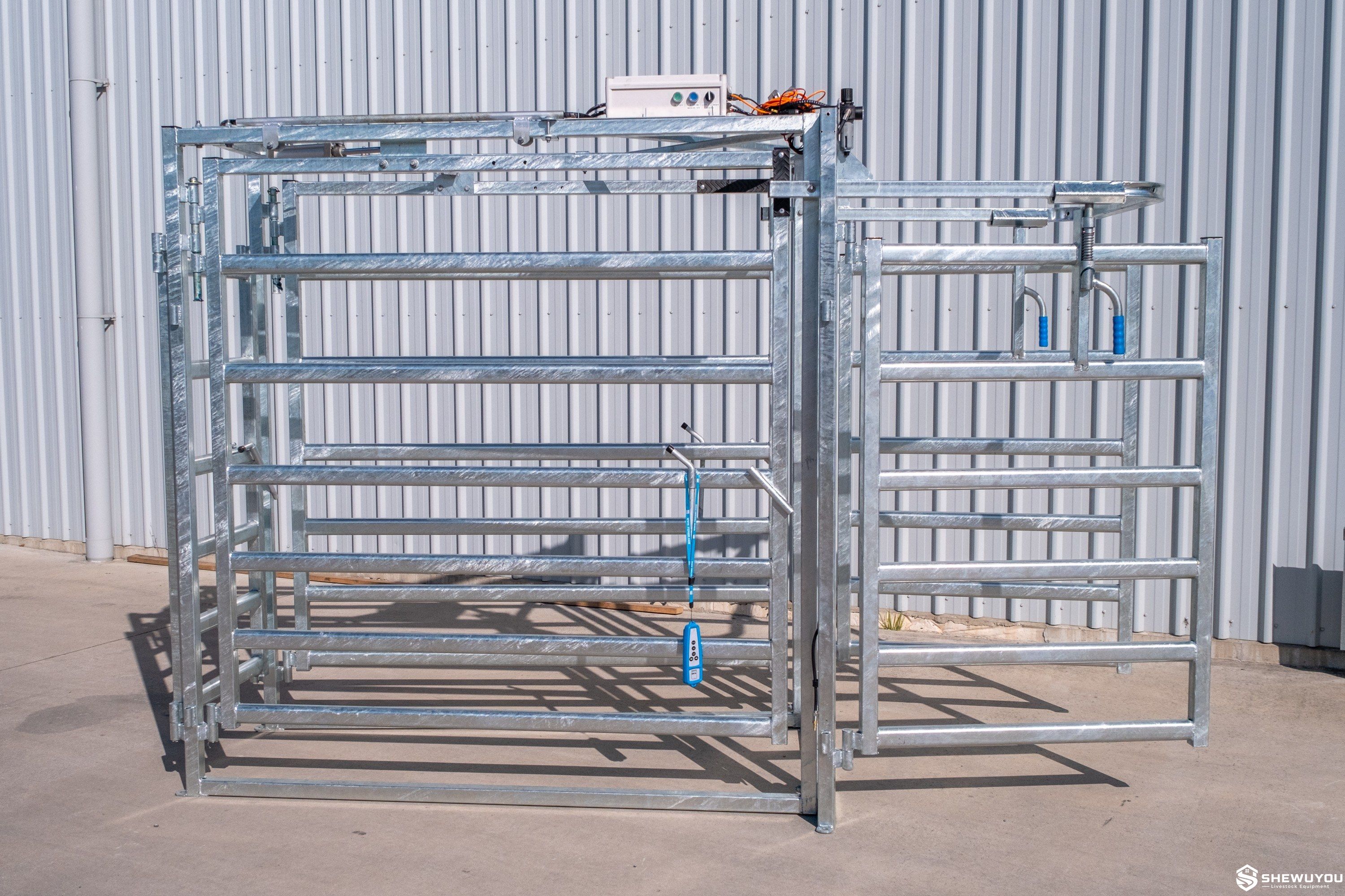 EID and weight-based 3-way automatic cattle sorting system