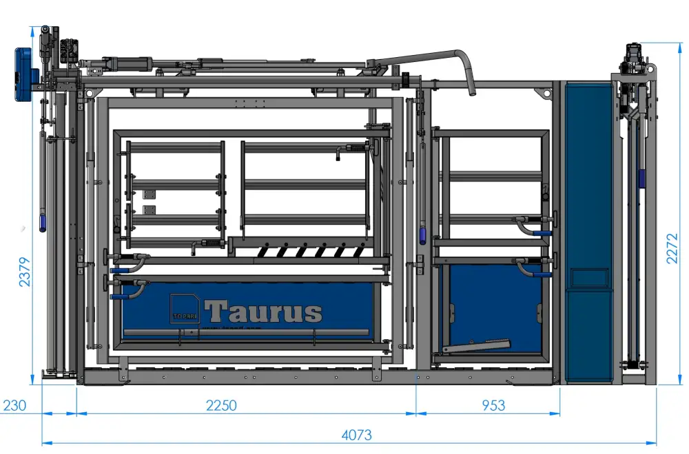 EID and weight based automatic cattle sorting system