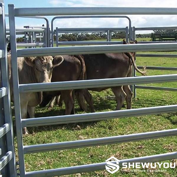 hot-dip galvanized oval rail cattle panel