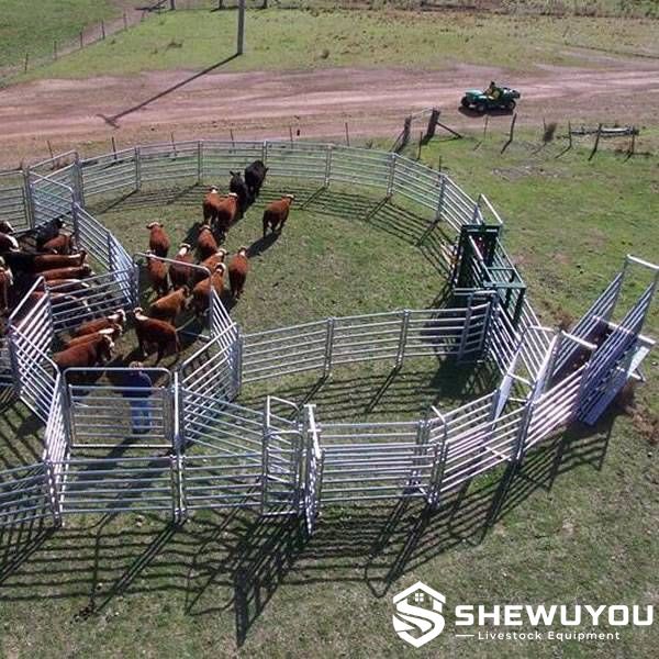 modular galvanized cattle yard panels with handling gates