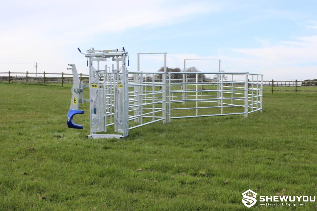 galvanized portable cattle hurdle system in field