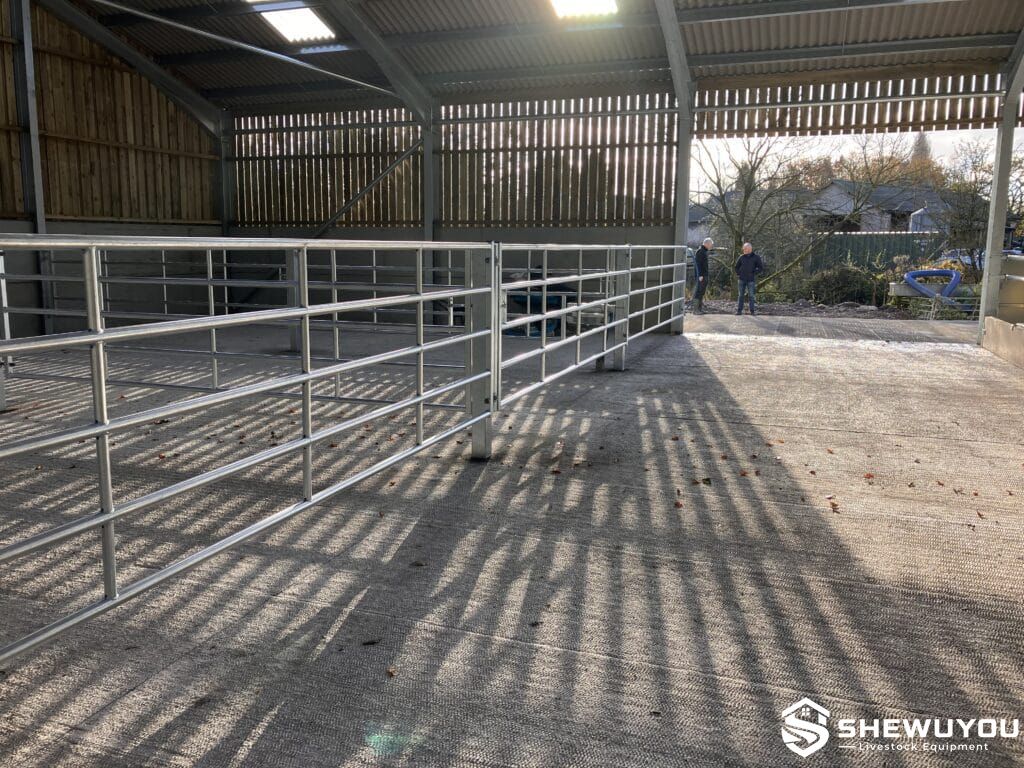 multi-rail cattle pen gates in livestock housing