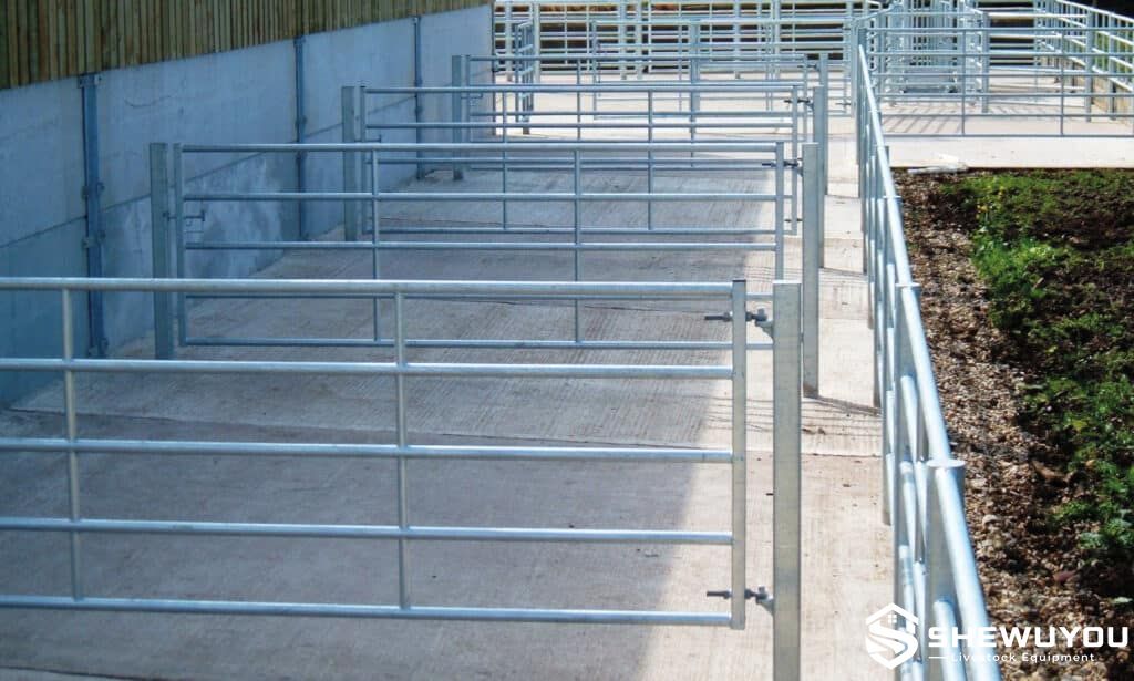 multi-rail cattle gates in holding pens
