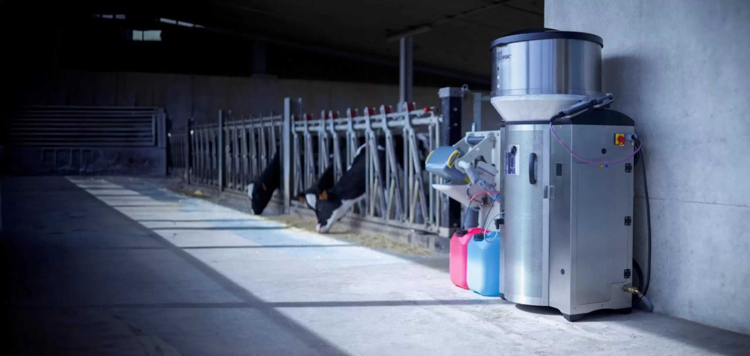 multi-station smart automatic calf feeder