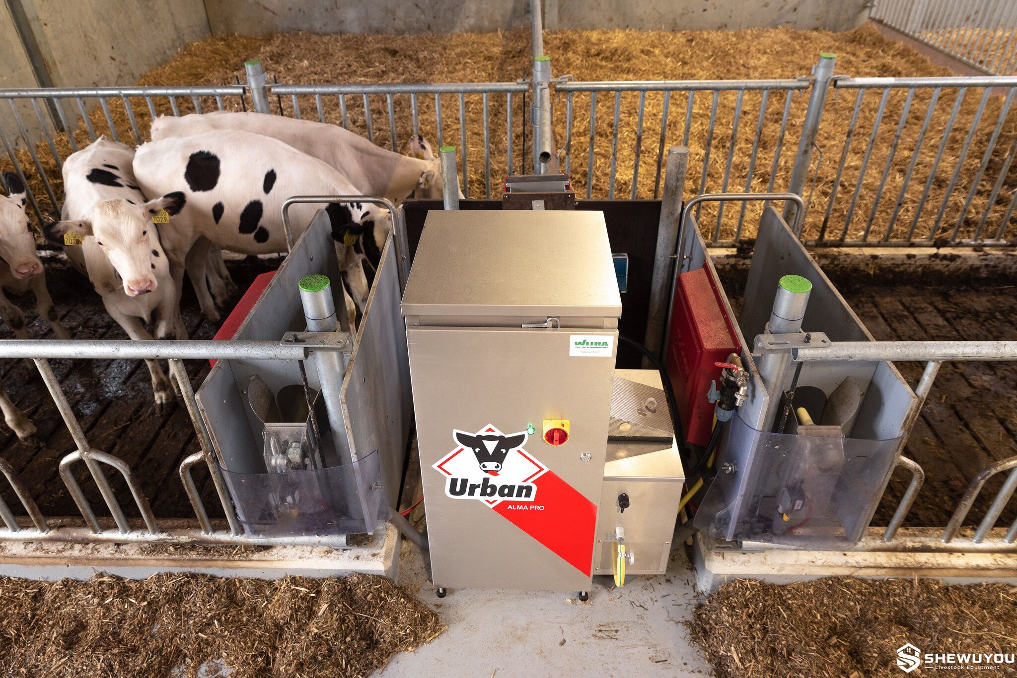 smart calf feeder installed between calf pens