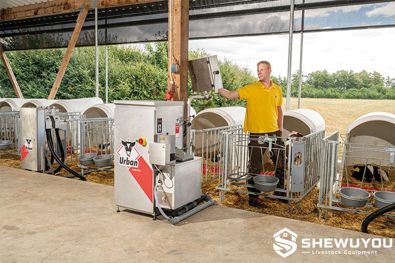 automatic calf feeding system in commercial calf housing