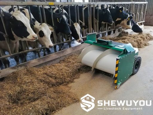 smart robotic feed pusher beside dairy cows