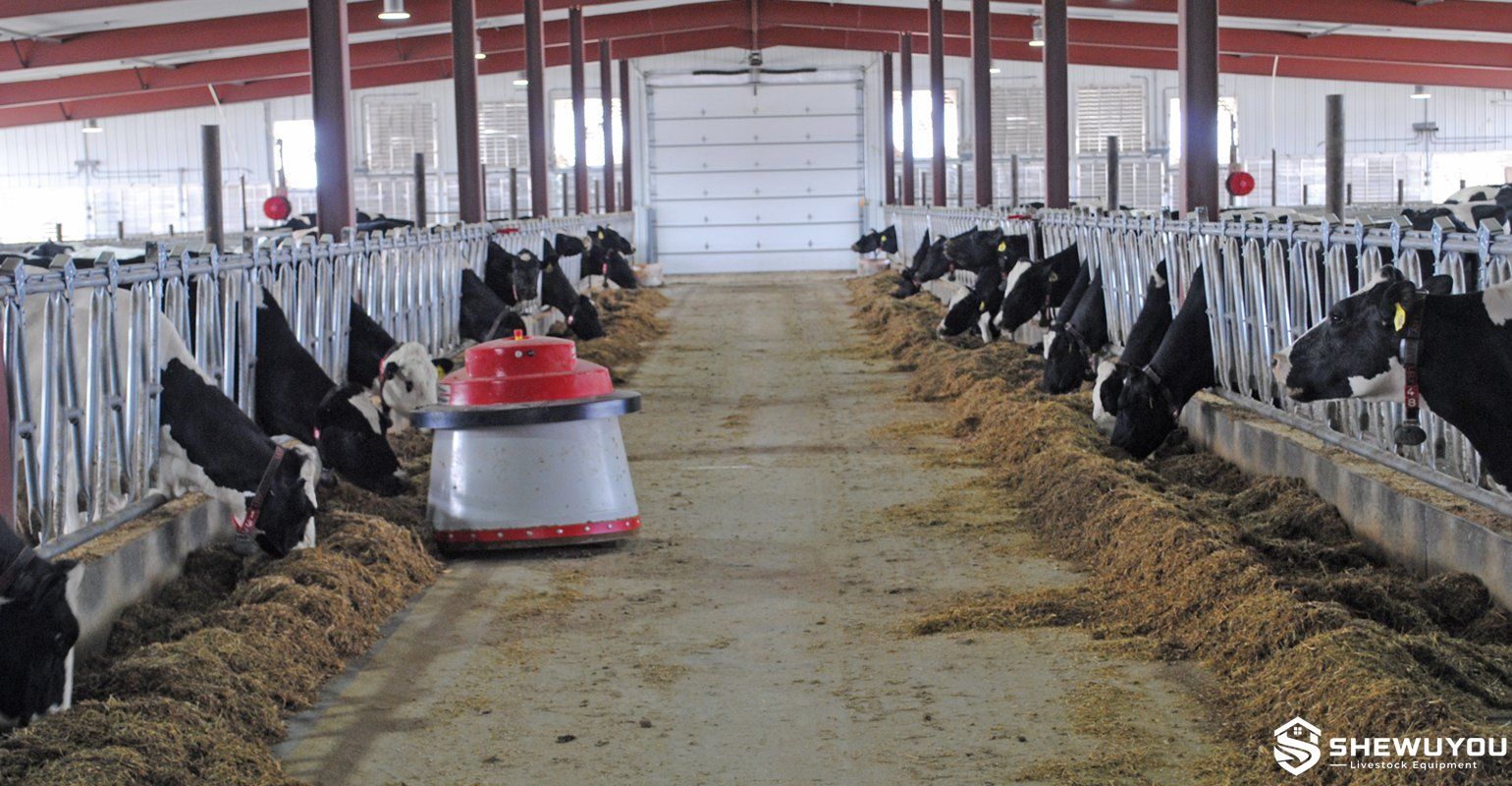 automatic feed pusher robot working in dairy barn