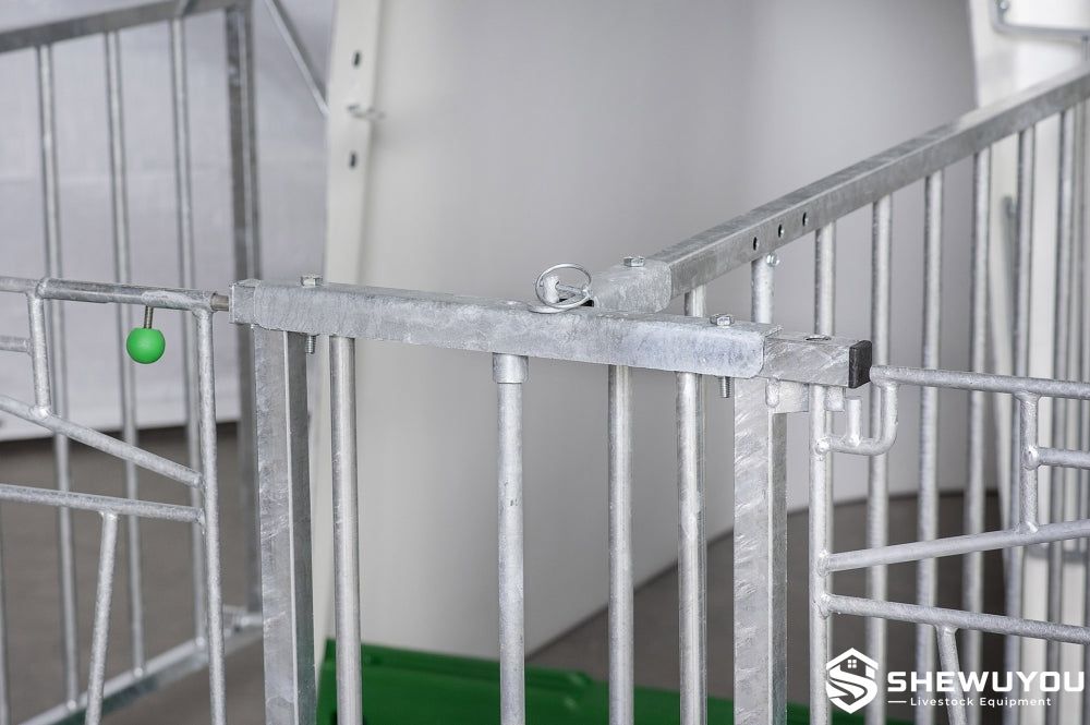 galvanized duo fence hinge for pair housing calves