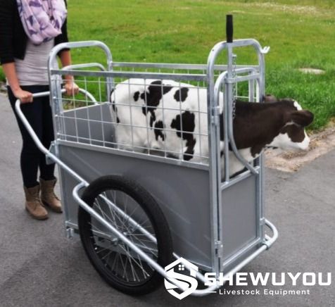 pivot action calf transport and restraint trolley