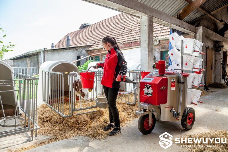 three-wheel calf milk shuttle feeding calves