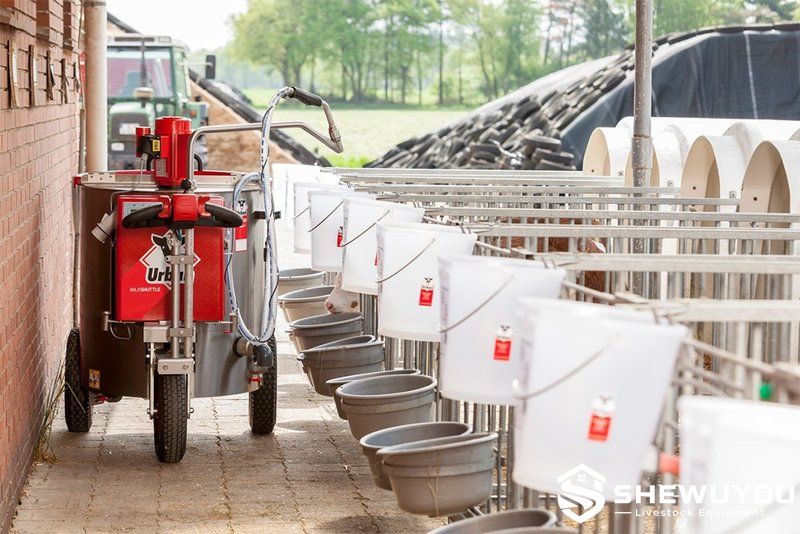 three-wheel calf milk shuttle in narrow feeding aisle