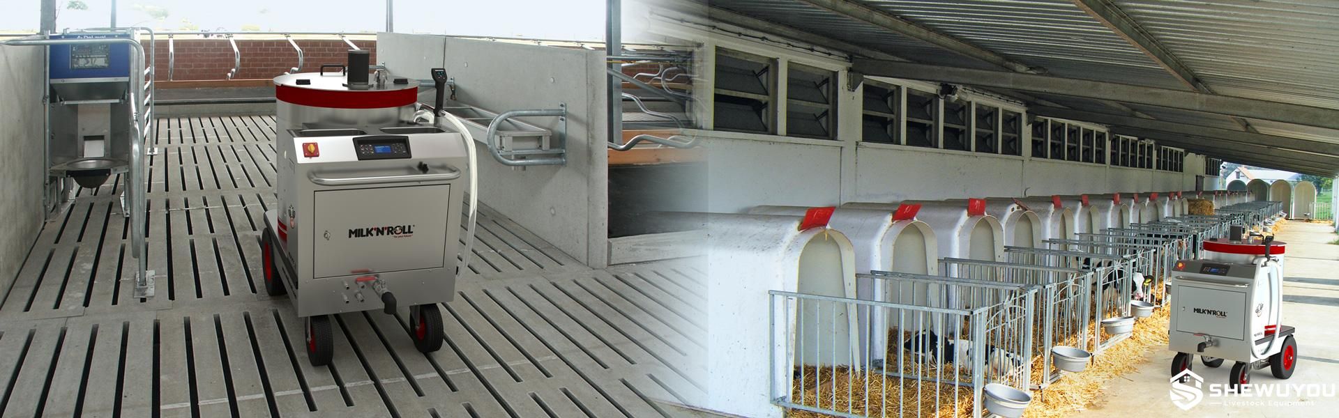 powered calf feeding trolley in dairy calf barn