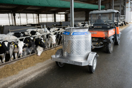 400L calf milk taxi trailer in dairy barn