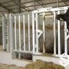 Heavy-Duty Bull Safety Headlock