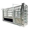 Automatic Weighing & Drafting Cattle Crush