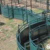 Adjustable U-Curve Cattle Handling Alley