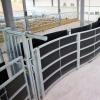 Fully Sheeted Curved Cattle Race System
