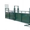 Calf Handling Alley