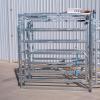 EID & Weight-Based 3-Way Cattle Sorting System