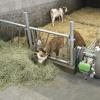 Automatic Calf Feeder Hygiene Station