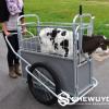 Pivot-Action Calf Transport & Restraint Trolley