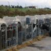 Smart Precision-Dosing Calf Milk Feeding Vehicle