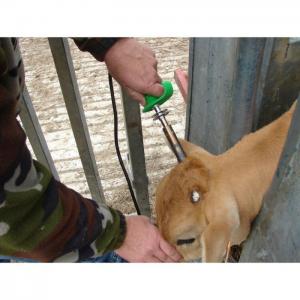 Water-Resistant 24V Calf Dehorner - SHEWUYOU Livestock Equipment