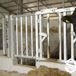 Heavy-Duty Bull Safety Headlock - SHEWUYOU Livestock Equipment