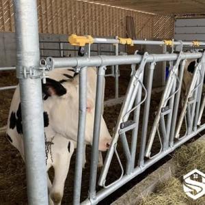 Adjustable-Width Cattle Headlock - SHEWUYOU Livestock Equipment
