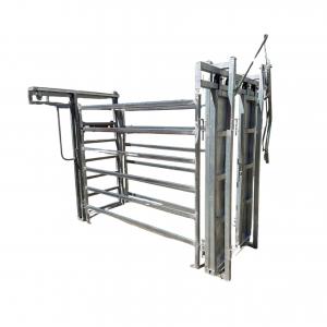 Basic Manual Cattle Crush - SHEWUYOU Livestock Equipment