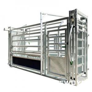 Automatic Weighing & Drafting Cattle Crush - SHEWUYOU Livestock Equipment