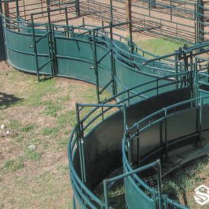 Adjustable U-Curve Cattle Handling Alley - SHEWUYOU Livestock Equipment