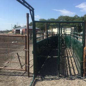 Double Cattle Handling Alley - SHEWUYOU Livestock Equipment