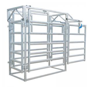 Manual 3-Way Cattle Drafting Gate Module - SHEWUYOU Livestock Equipment
