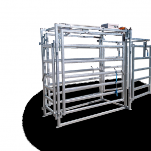 Pneumatic 3-Way Automatic Cattle Drafter - SHEWUYOU Livestock Equipment