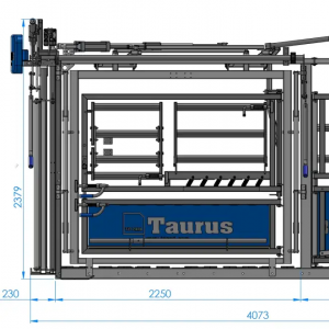 EID & Weight-Based 5-Way Automatic Cattle Sorting System - SHEWUYOU Livestock Equipment