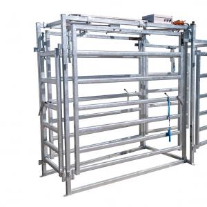 7-Way / 9-Way Modular Automatic Cattle Drafter - SHEWUYOU Livestock Equipment