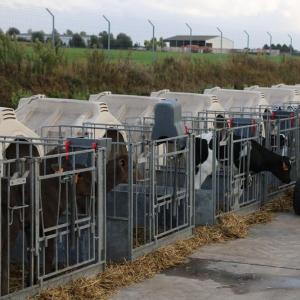 Smart Precision-Dosing Calf Milk Feeding Vehicle - SHEWUYOU Livestock Equipment