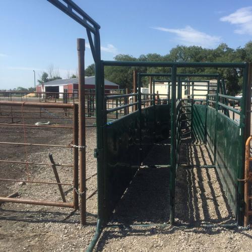 Double Cattle Handling Alley - SHEWUYOU Livestock Equipment