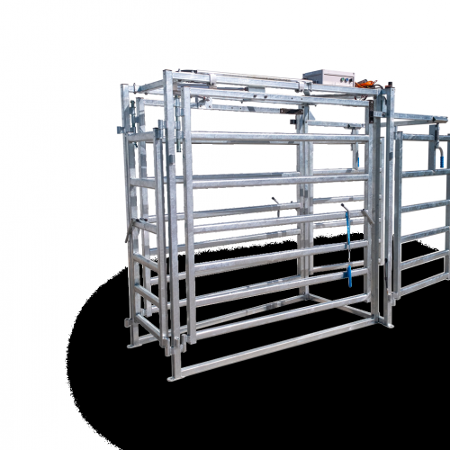 Pneumatic 3-Way Automatic Cattle Drafter - SHEWUYOU Livestock Equipment