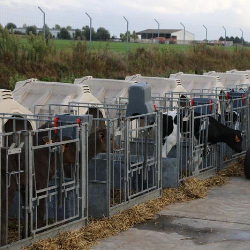 Smart Precision-Dosing Calf Milk Feeding Vehicle - SHEWUYOU Livestock Equipment