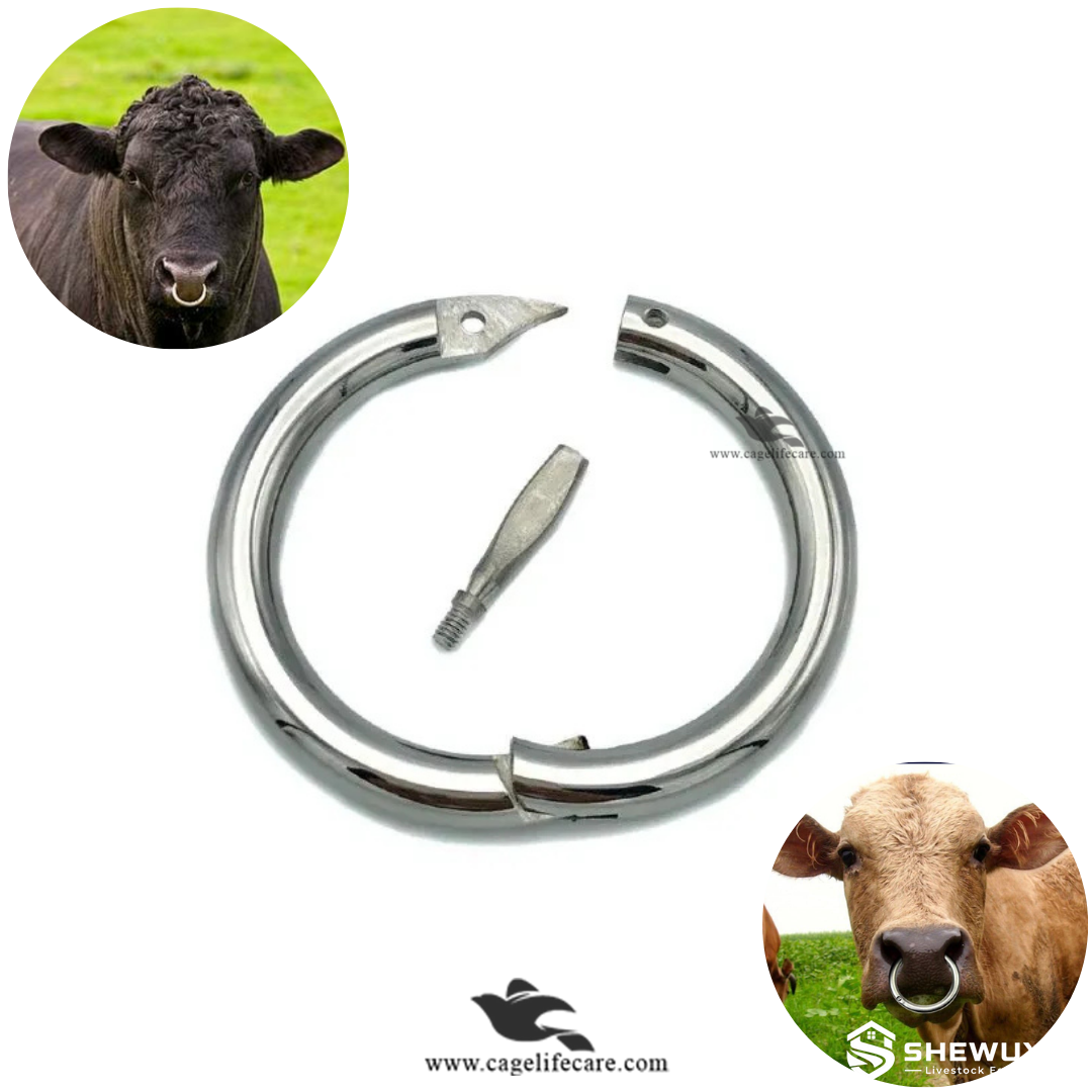 screw-lock bull nose ring for cattle