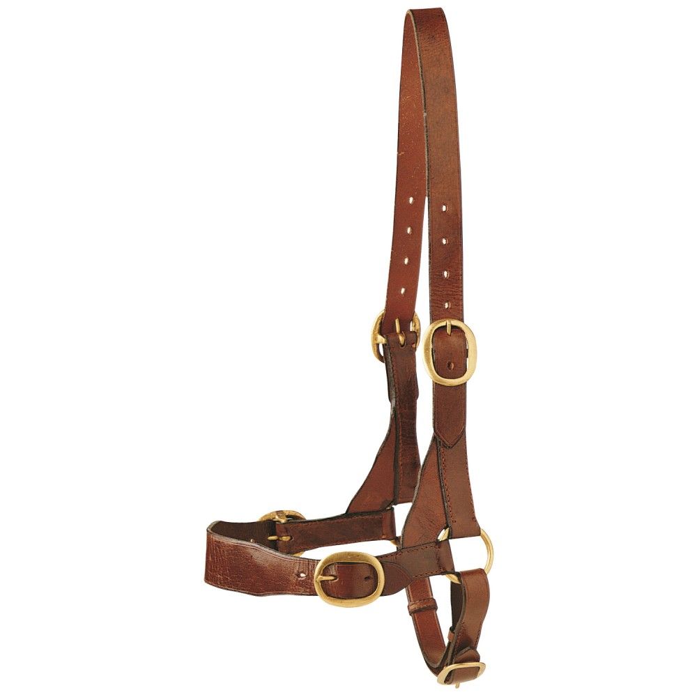 Leather bull halter for cattle restraint