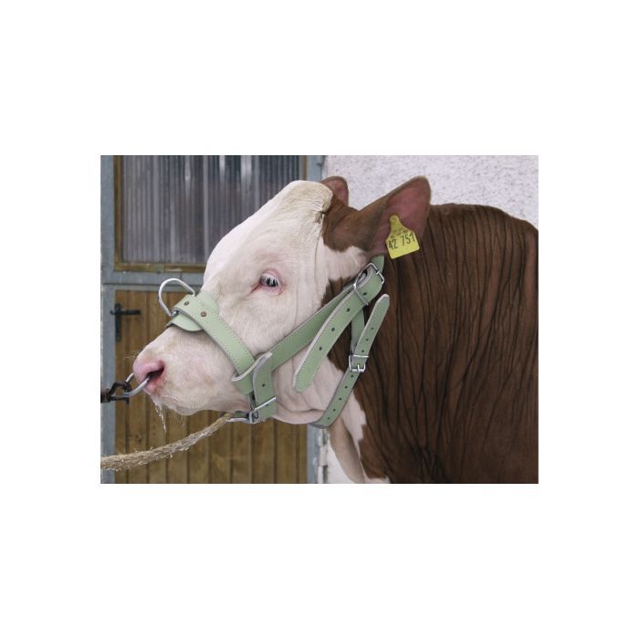 Heavy duty leather cattle halter