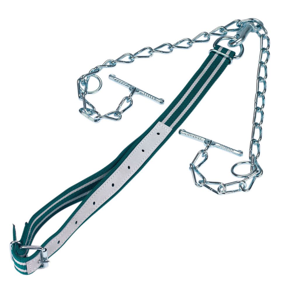 Cattle neck strap and chain tethering system